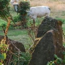 Charmehotel De stokerij te Oudenburg, West-Vlaanderen - Overnachten nabij Brugge, Oostende en De Haan